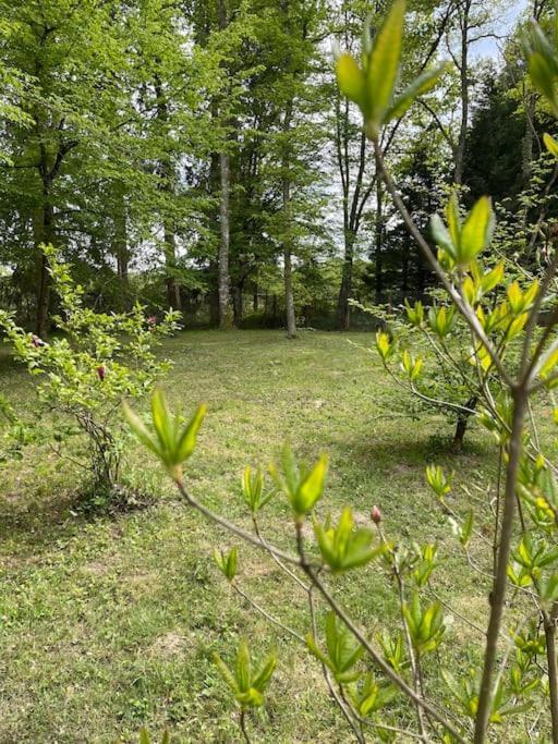 Gite Les Reculons Au Pied Du Lac Les Midoux Ngoại thất bức ảnh